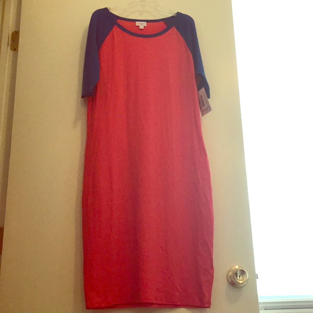 NWT Gorgeous pink and blue LuLaRoe Julia dress